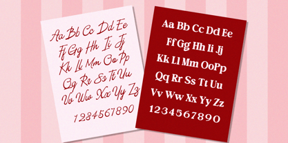 Editorial Collection Script Font Poster 10