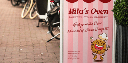 Editorial Collection Script Font Poster 7