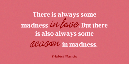 Editorial Collection Script Font Poster 5