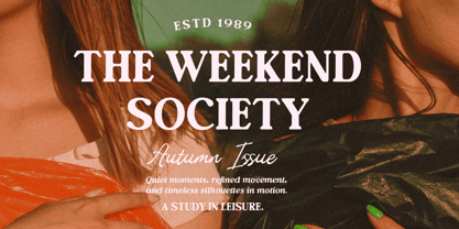 Editorial Collection Script Font Poster 8