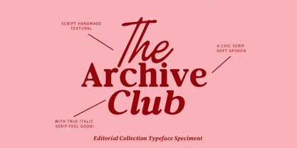 Editorial Collection Script Font Poster 9