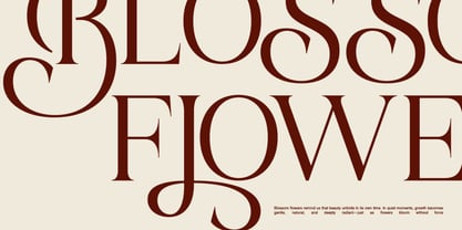 Bela Serfane Font Poster 8