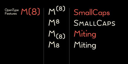 Tady Font Poster 7