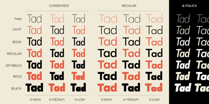 Tady Font Poster 1