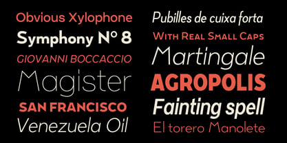 Tady Font Poster 3