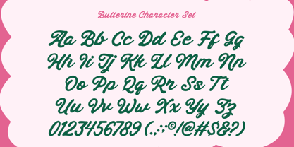 Butterine Font Poster 9