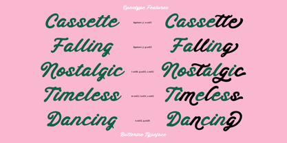 Butterine Font Poster 8