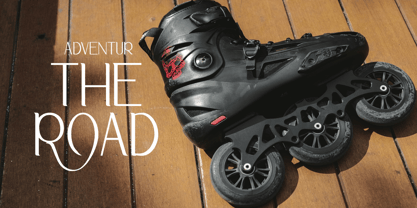 Aligr Font Poster 13