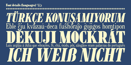 Azogue Font Poster 9