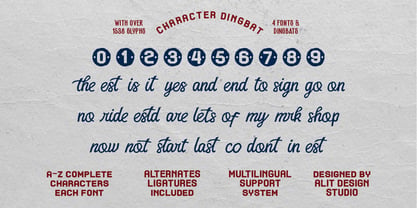 Soltisce Coast Font Poster 9