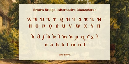 Brown Bridge Font Poster 13