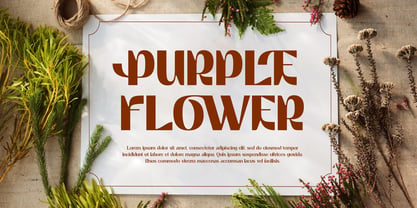 Brown Bridge Font Poster 7