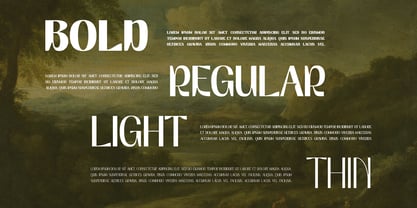 Brown Bridge Font Poster 2