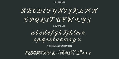 Trend Botuna sans Font Poster 7