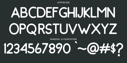 Trend Botuna sans Font Poster 8