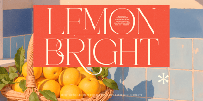 Perfect Romantic Font Poster 6