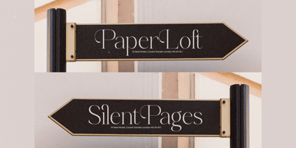 Perfect Romantic Font Poster 10