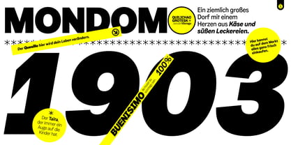 Quilichao Grotesk Font Poster 6