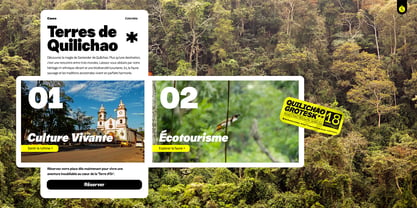 Quilichao Grotesk Font Poster 9