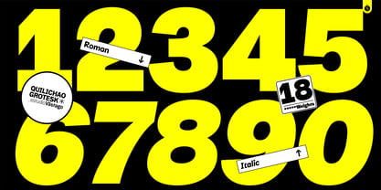 Quilichao Grotesk Font Poster 14