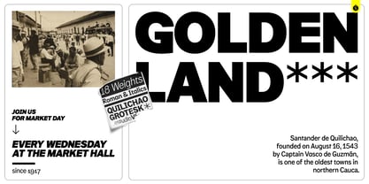 Quilichao Grotesk Font Poster 4