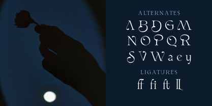 Brisalle Font Poster 3