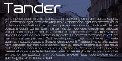 Tander Font Poster 6