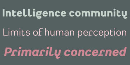 Heimat Grotesk Font Poster 6