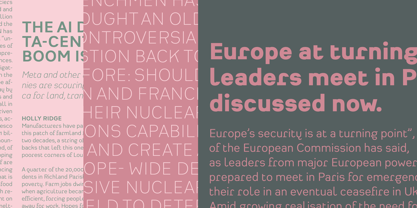 Heimat Grotesk Font Poster 2