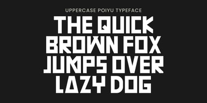 Poiyu Font Poster 9