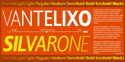 Chatwin Font Poster 2