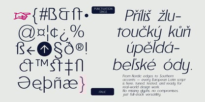 Reiner Neue Font Poster 4