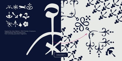 Reiner Neue Font Poster 11