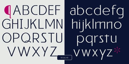 Reiner Neue Font Poster 3