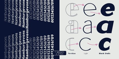 Reiner Neue Font Poster 2