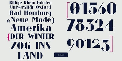 Reiner Neue Font Poster 9