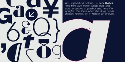 Reiner Neue Font Poster 6