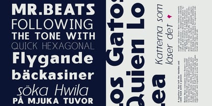Reiner Neue Font Poster 5