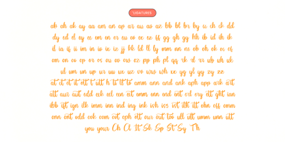 Monday Beachnes Font Poster 13