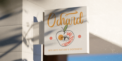 Monday Beachnes Font Poster 11