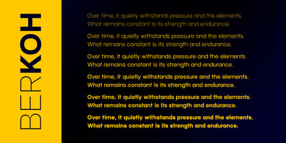 Berkoh Font Poster 8