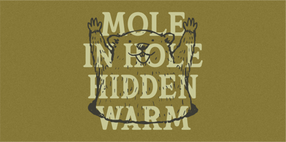 Rootle Font Poster 2