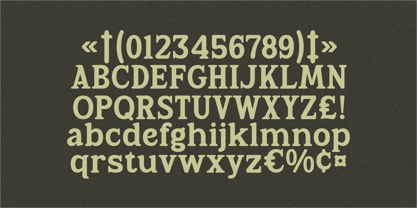 Rootle Font Poster 7