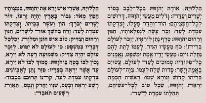 Hebrew Rinat 217 Std Font Poster 3