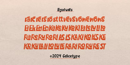 Praduga Font Poster 12