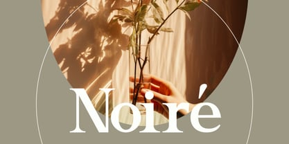 El Romantica Font Poster 5