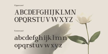 El Romantica Font Poster 2