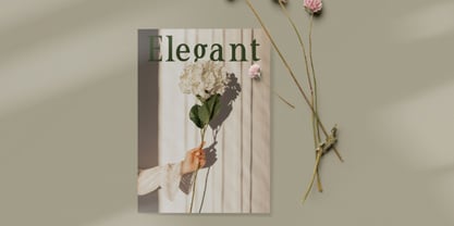 El Romantica Font Poster 7