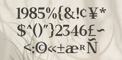 El Romantica Font Poster 4