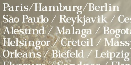 El Romantica Font Poster 3